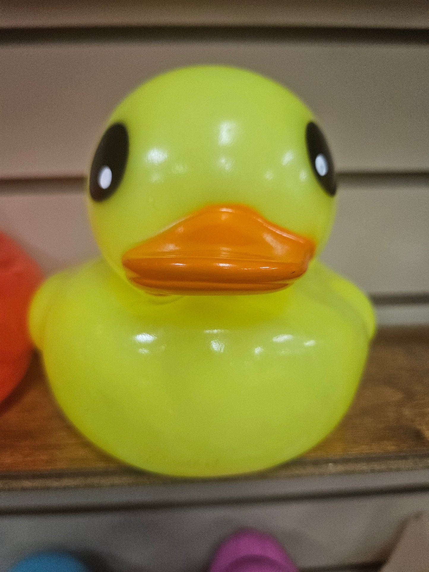 Neon Ducks