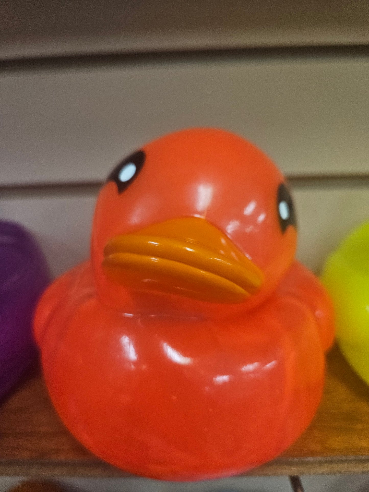 Neon Ducks