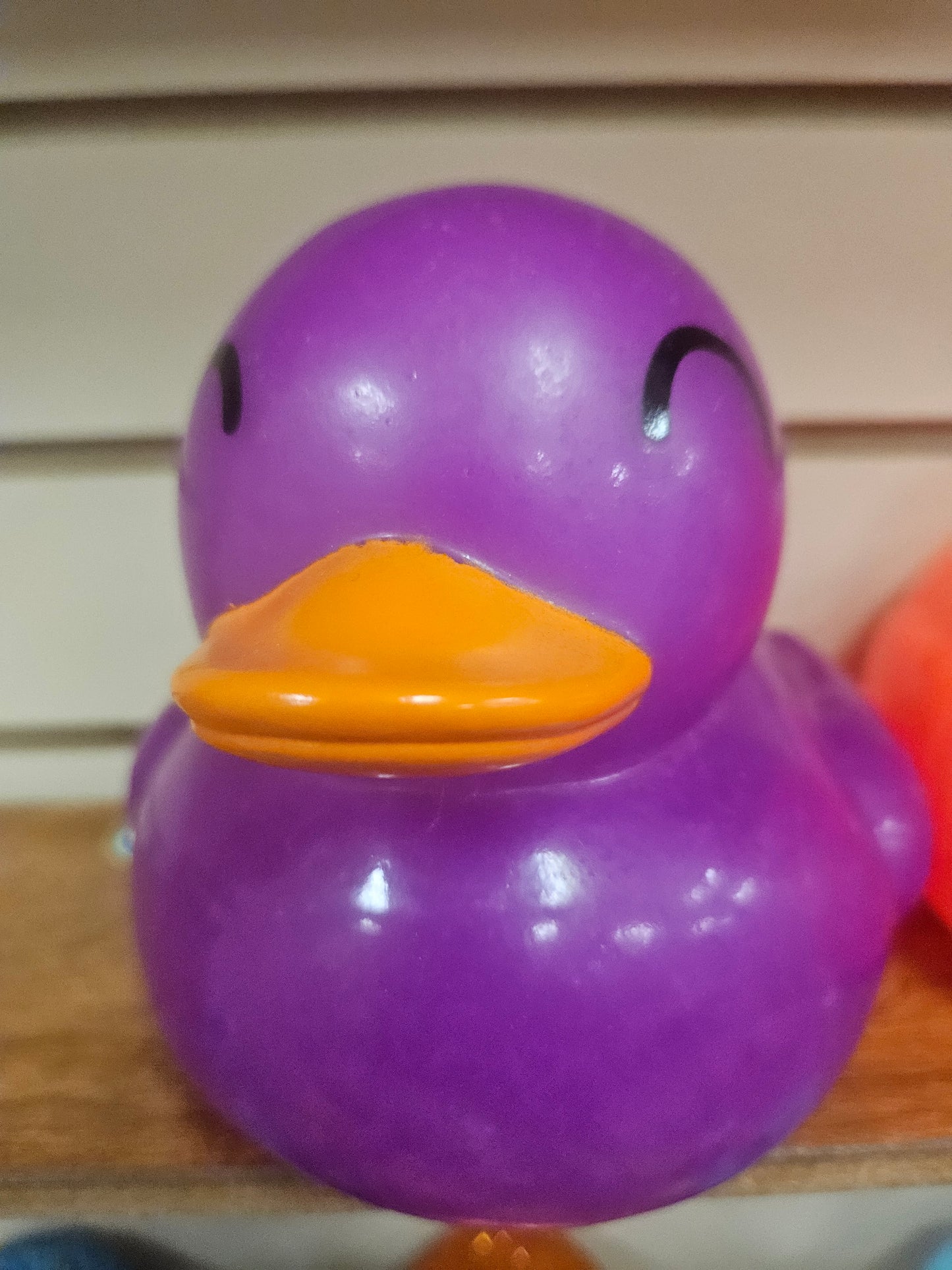 Neon Ducks