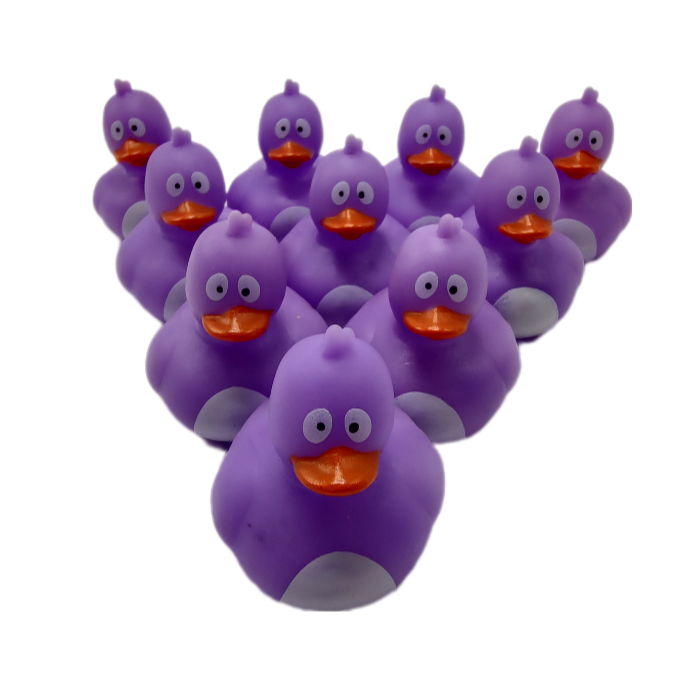 10 Crazy Bird Purple Ducks - 2" Rubber Ducks