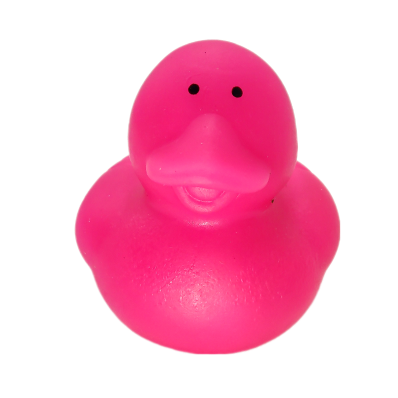 10 Little Pink Ducks - 2" Rubber Ducks