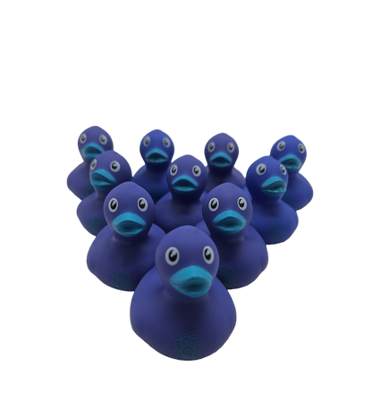 10 Blue Flower Ducks - 2" Rubber Ducks