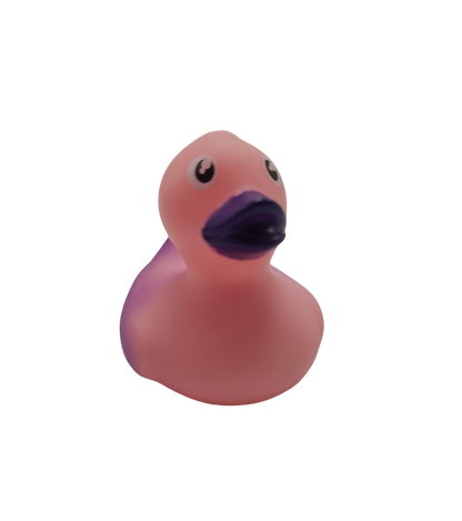 10 Pink and Purple Ducks - 2" Rubber Ducks